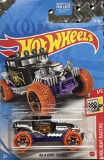 GTC96 - Baja Bone Shaker.jpg