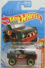 FYF96 - Custom Ford Bronco