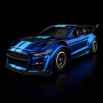 FM 11.webp